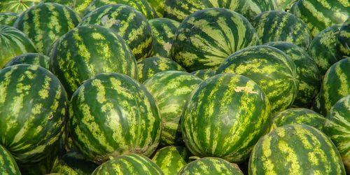 娱乐吃瓜酱广西,揭秘广西娱乐圈的那些事儿